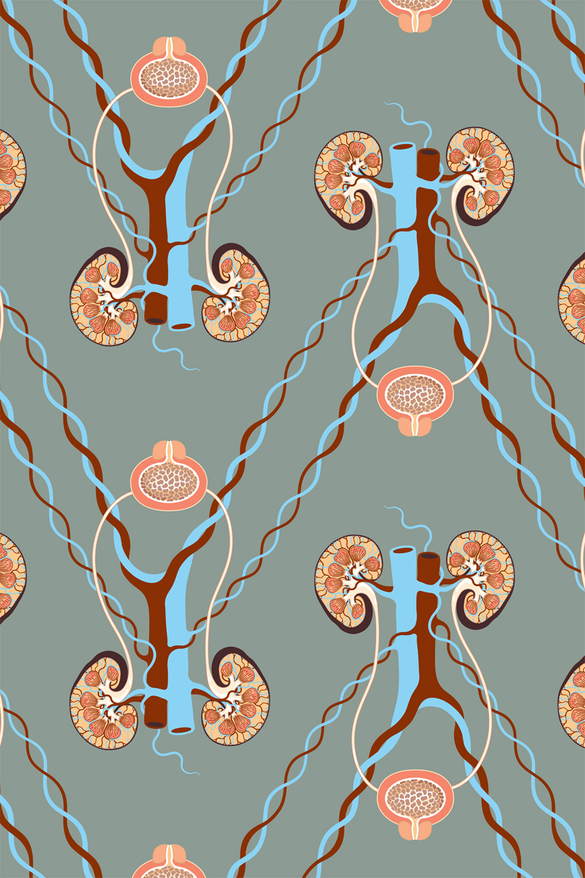 shannon wright kidney wallpaper